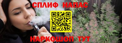 МДПВ Краснознаменск