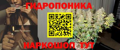 шишки Краснодар