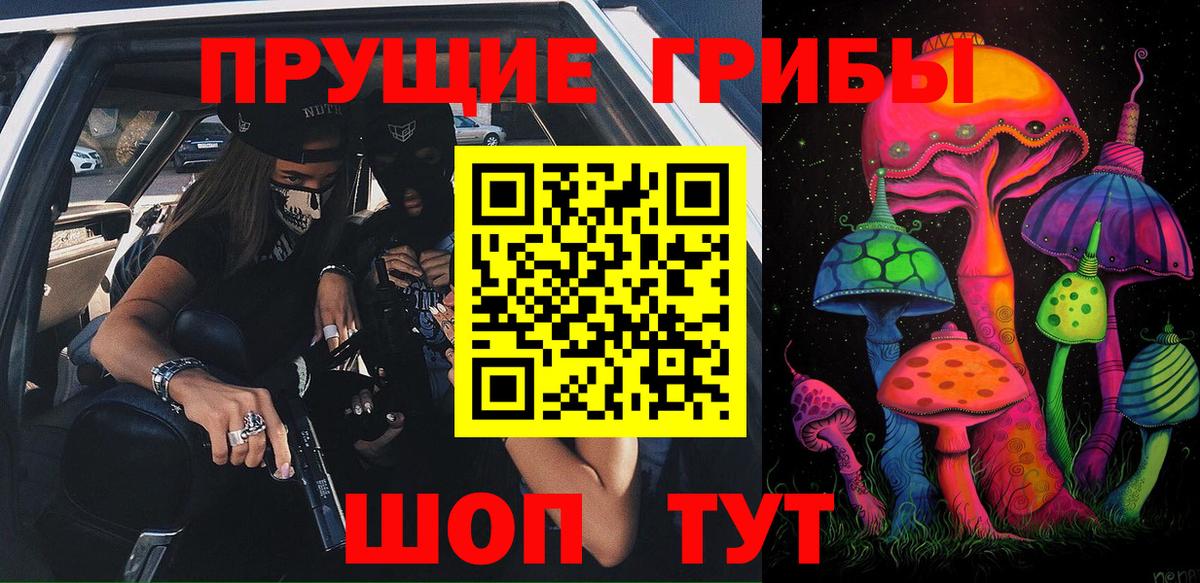 Котлас  Галлюциногенные грибы MAGIC MUSHROOMS  Вход с VPN 
